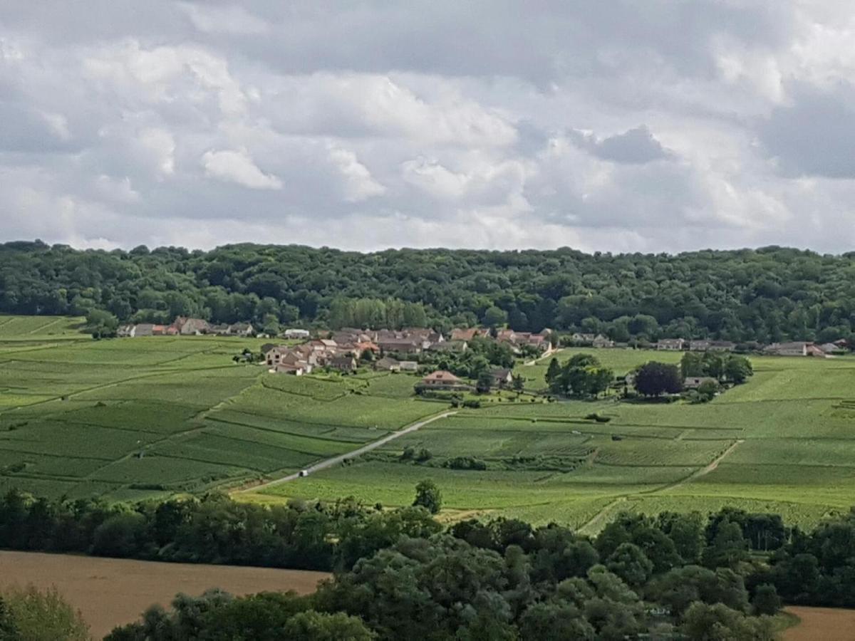 Le Domaine De L Etang Le Merger Oeuilly Esterno foto